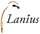Lanius