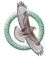 SOSLogoCMYKlargeblankbackground1